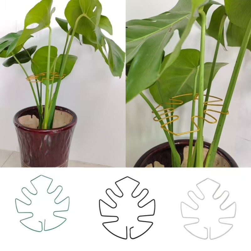 Variegated Monstera Node - Monstera Leaf Shaped Metal Plant Support