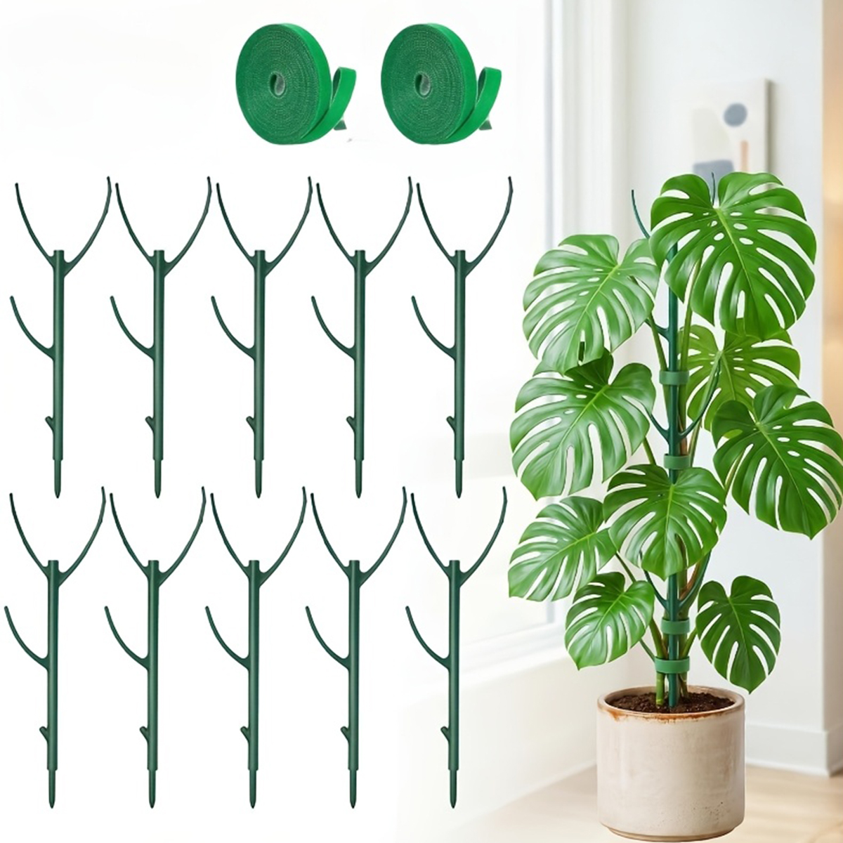 Variegated Monstera Node - 6 PCS Monstera Plant Support Stakes,