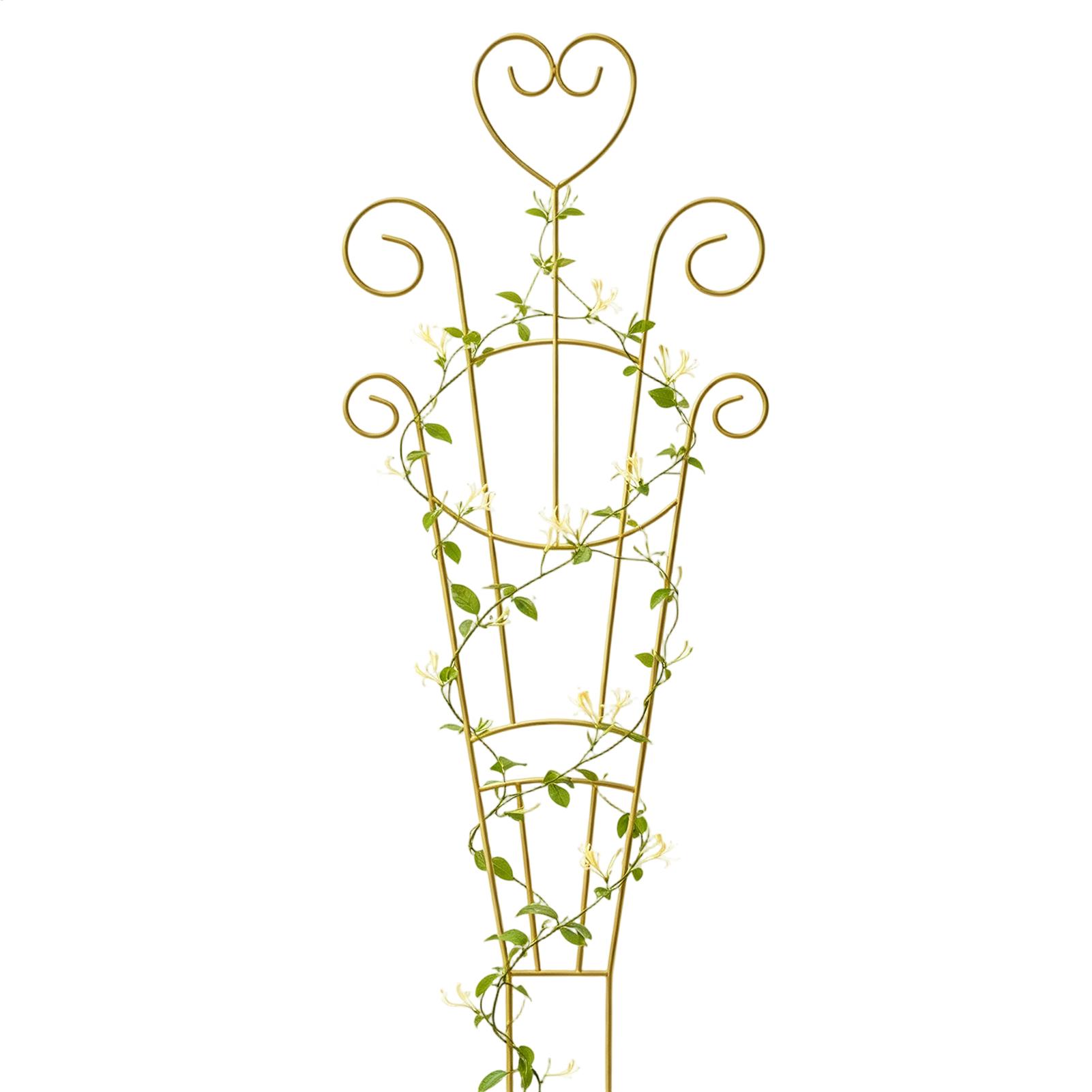 Variegated Monstera Node - Climbing Plant Trellis Vine Support Cages