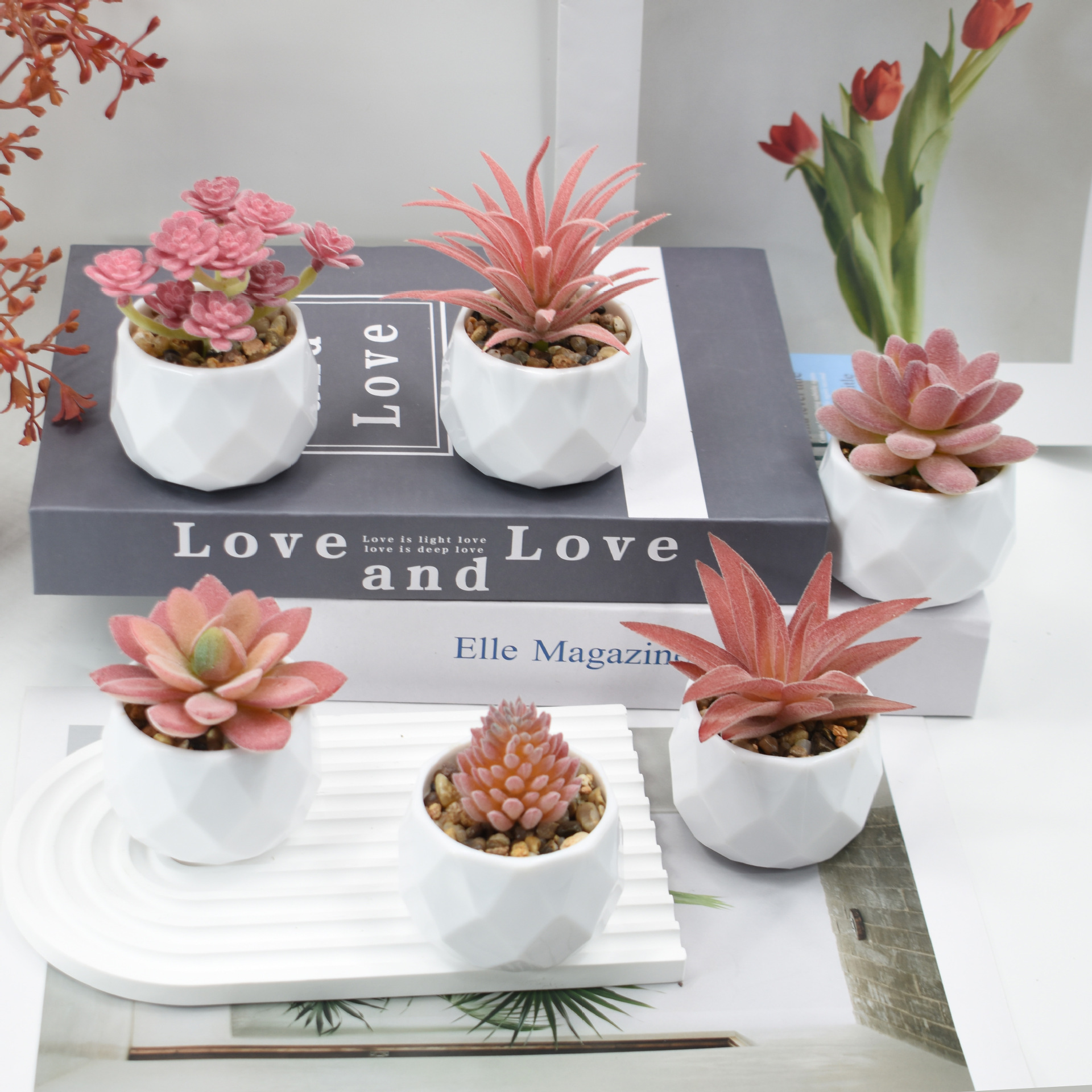 Mini Artificial Plants Simulat - Cactus Mix Pot ulasan dan harga