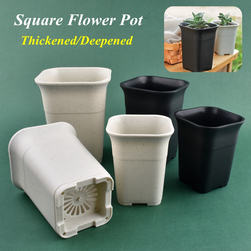 5/10Pcs Deepened Square Plants - Cactus Mix Pot ulasan dan harga