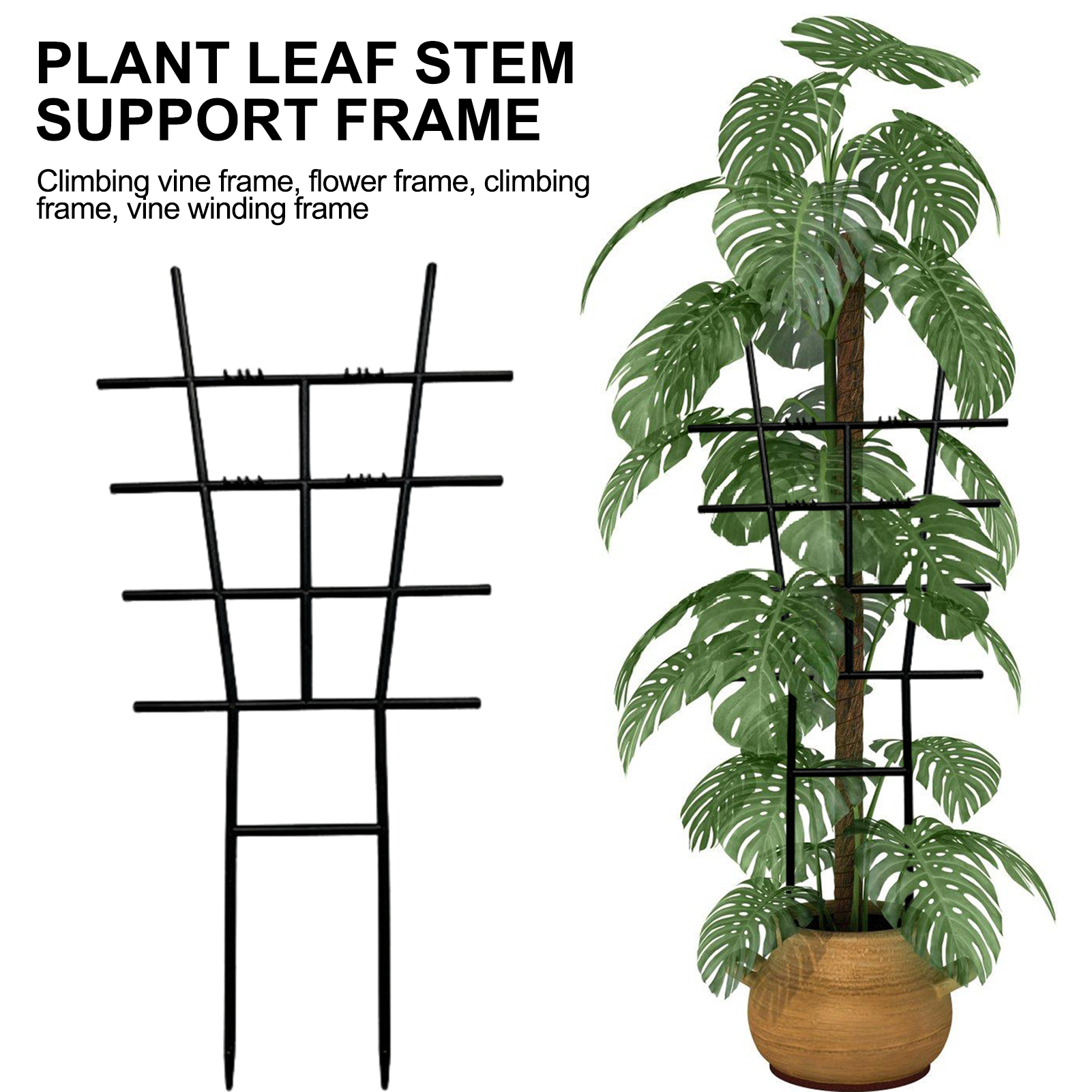 Plastic Climbing Plant Trellis - Variegated Monstera Node ulasan dan harga