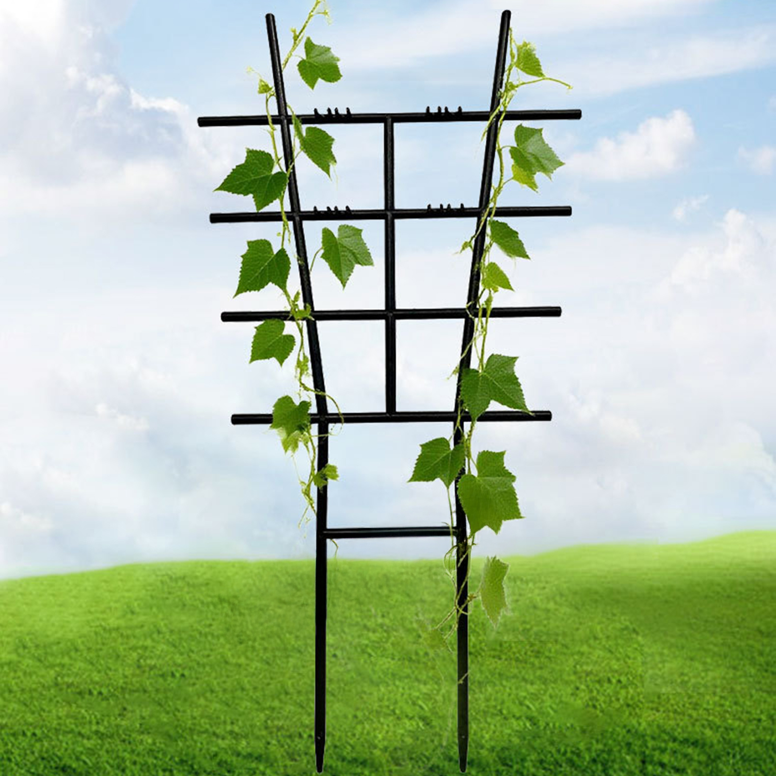 Plastic Climbing Plant Trellis - Variegated Monstera Node ulasan dan harga