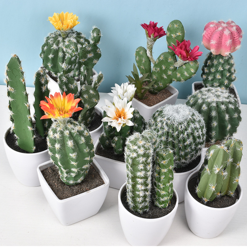 1PC Mini Fake Plastic Cactus W - Cactus Mix Pot ulasan dan harga