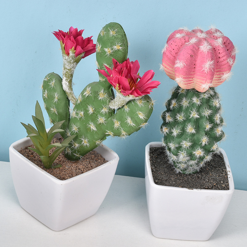 1PC Mini Fake Plastic Cactus W - Cactus Mix Pot ulasan dan harga