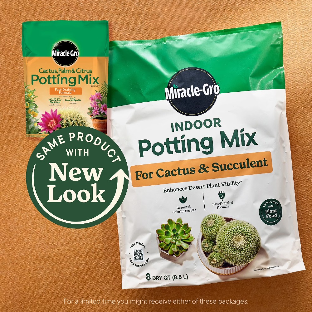 2 Pack 8 Quart Fast‑Draining C - Cactus Mix Pot ulasan dan harga
