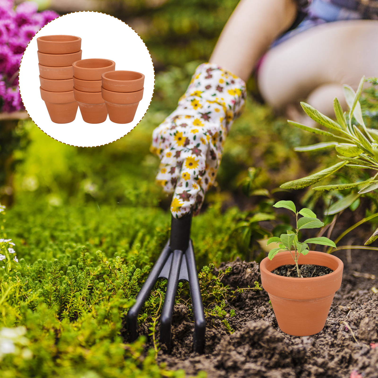 10pcs Mini Terracotta Pot Plan - Cactus Mix Pot ulasan dan harga