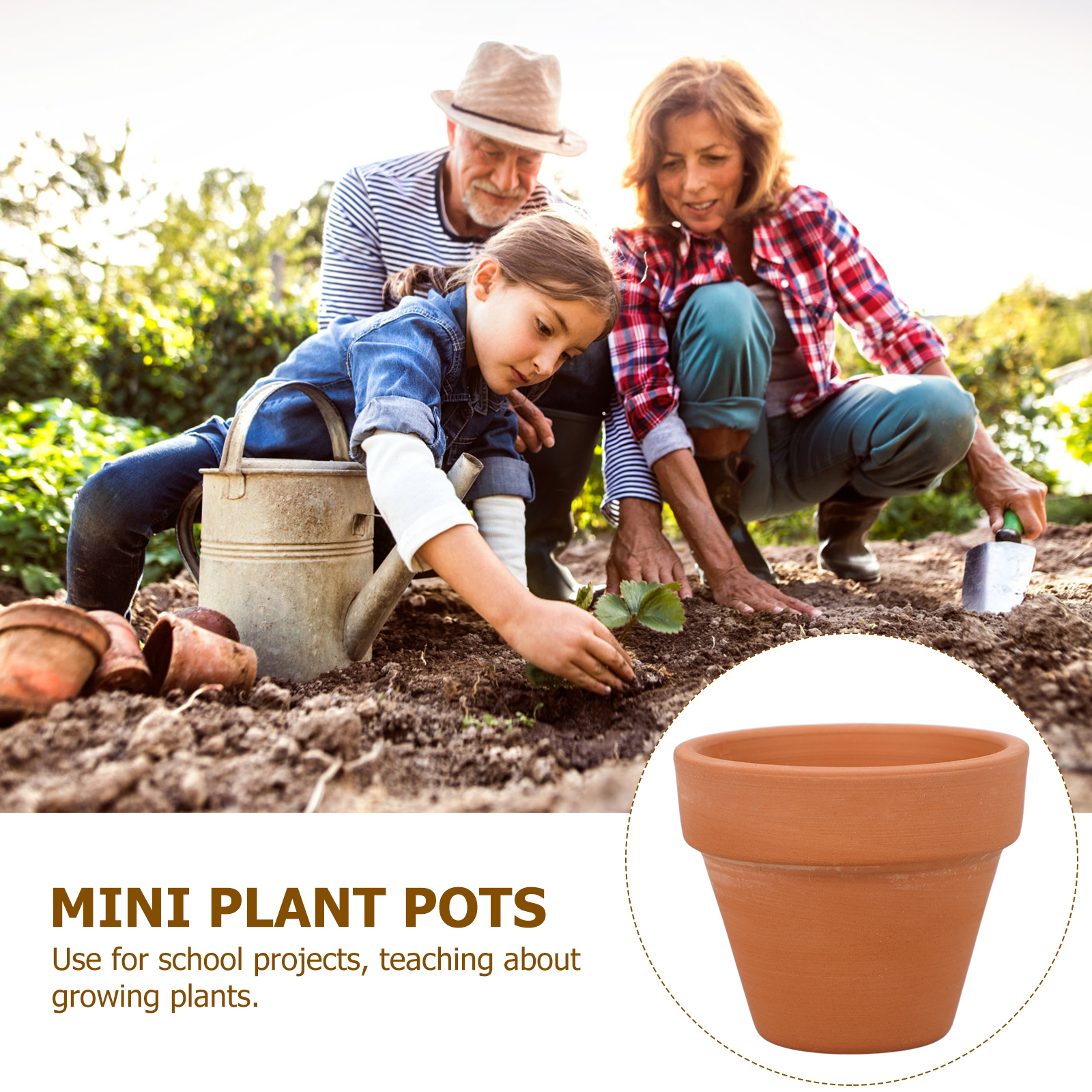 10pcs Mini Terracotta Pot Plan - Cactus Mix Pot ulasan dan harga