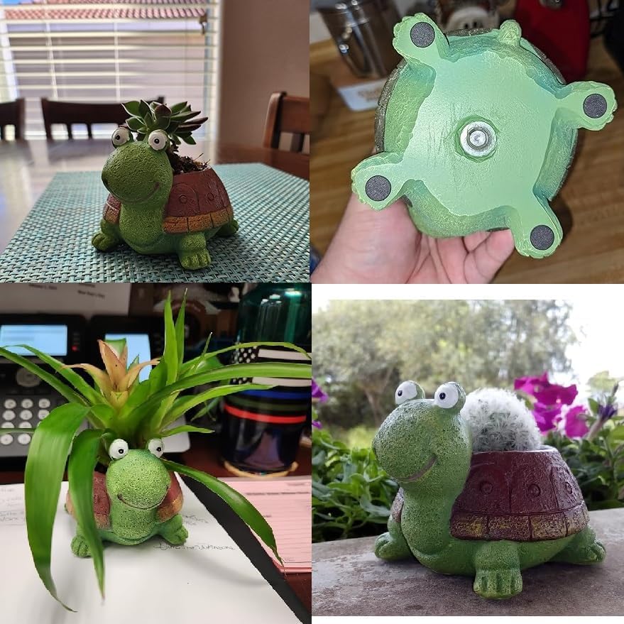Cute Turtle Planter Succulent  - Cactus Mix Pot ulasan dan harga