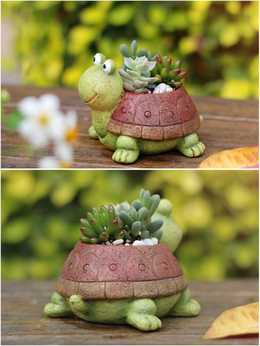 Cute Turtle Planter Succulent  - Cactus Mix Pot ulasan dan harga
