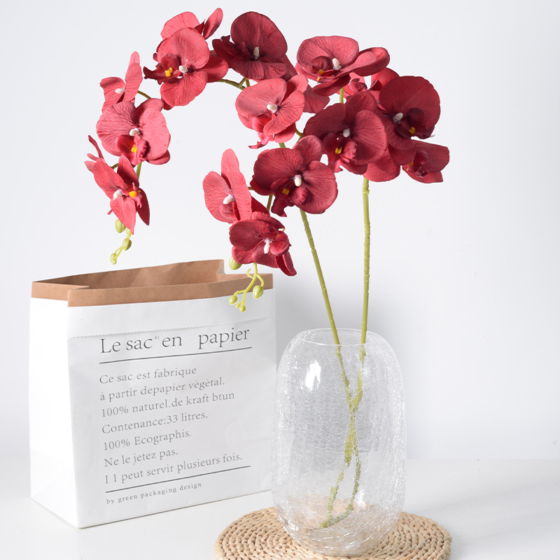 2pc 36cm Phalaenopsis Silk Clo - Orchid Phalaenopsis ulasan dan harga
