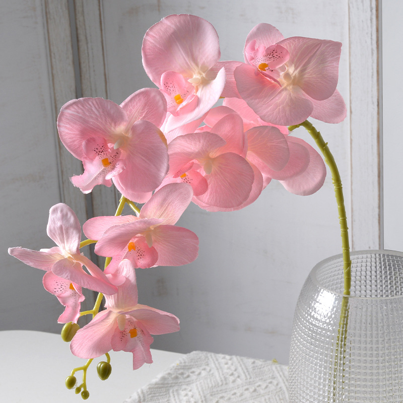 2pc 36cm Phalaenopsis Silk Clo - Orchid Phalaenopsis ulasan dan harga