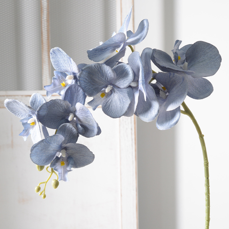 2pc 36cm Phalaenopsis Silk Clo - Orchid Phalaenopsis ulasan dan harga
