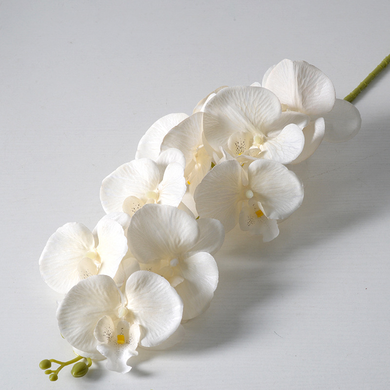 2pc 36cm Phalaenopsis Silk Clo - Orchid Phalaenopsis ulasan dan harga