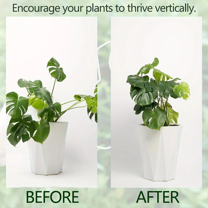 Monstera Leaf Shaped Metal Pla - Variegated Monstera Node ulasan dan harga