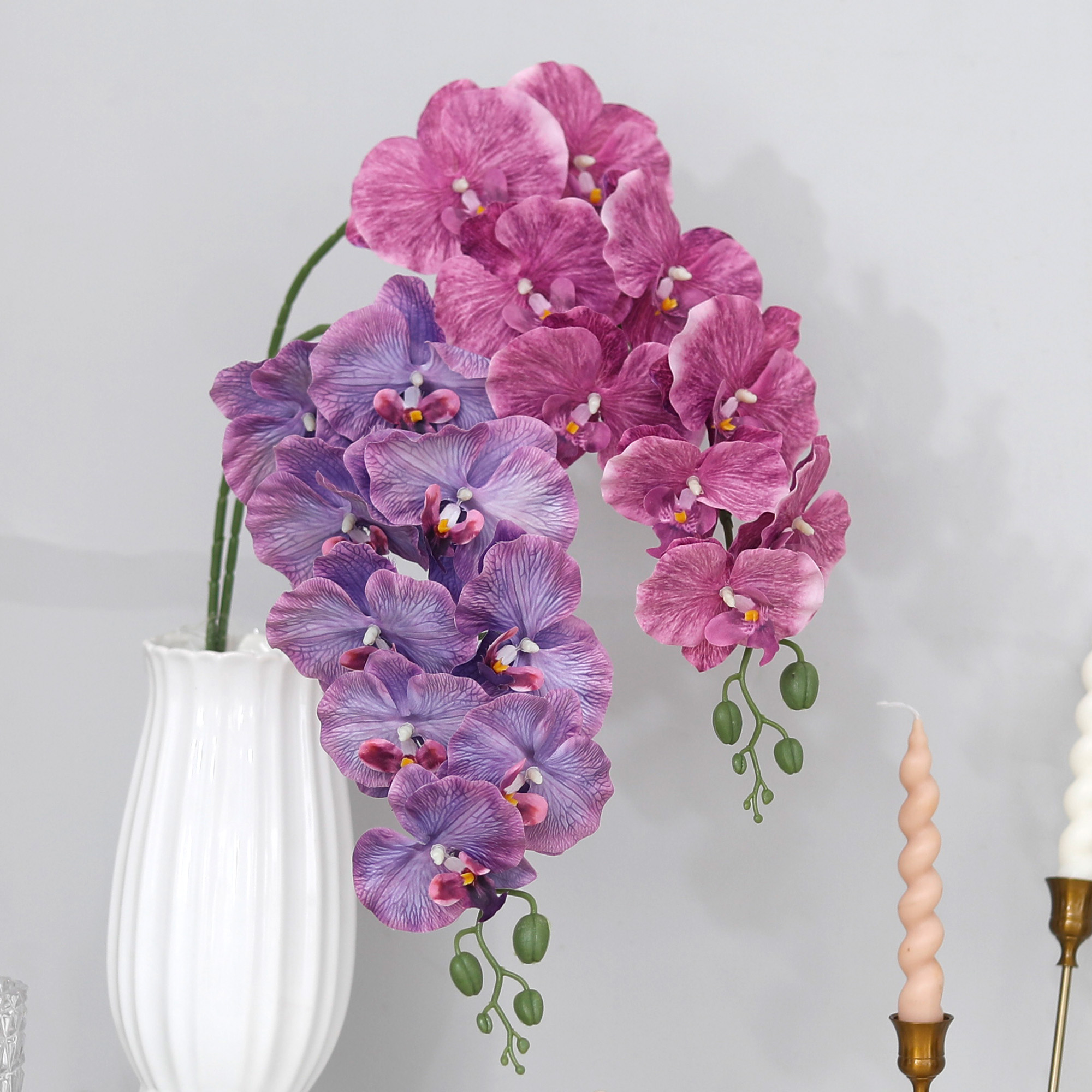 Long Branch Butterfly Orchids  - Orchid Phalaenopsis ulasan dan harga