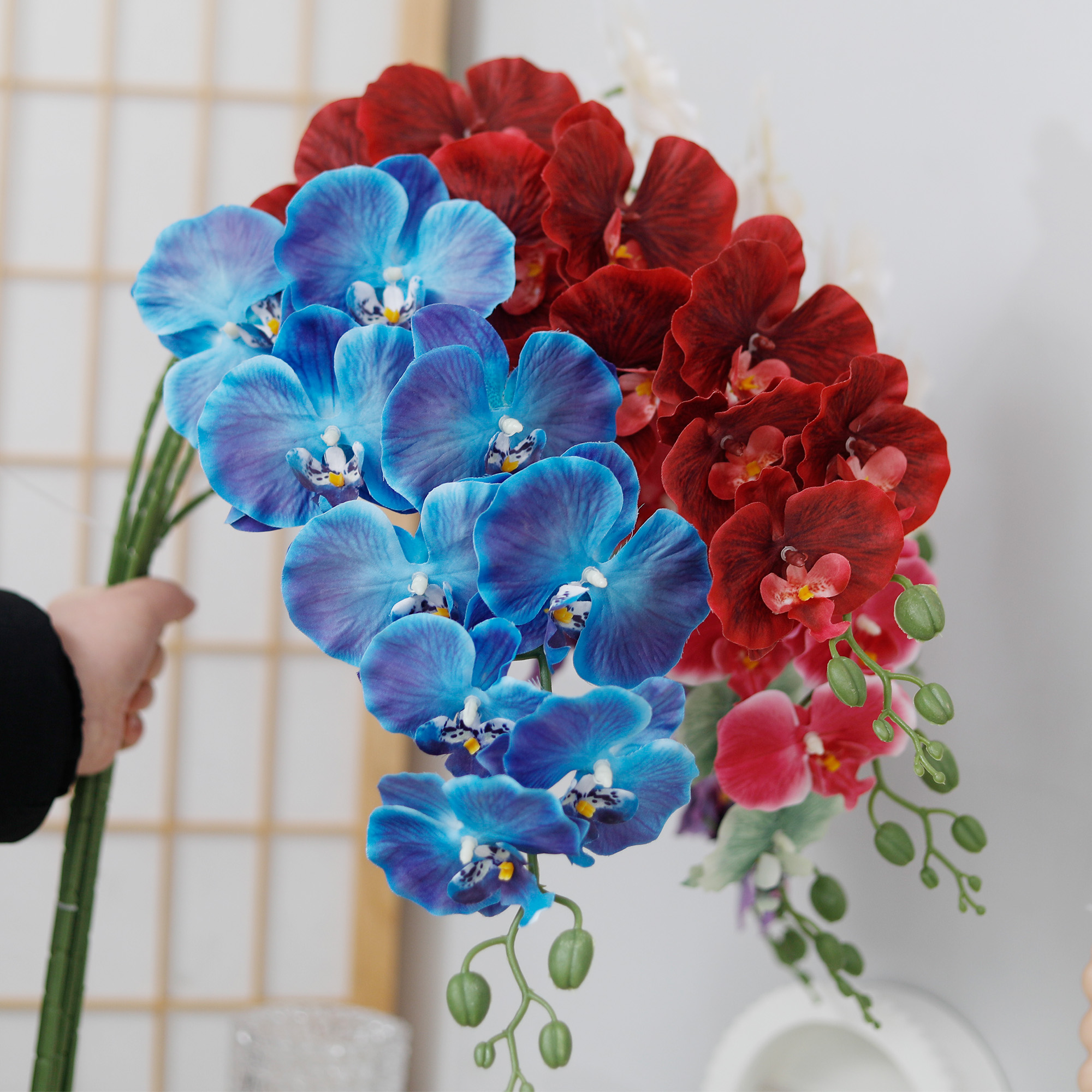 Long Branch Butterfly Orchids  - Orchid Phalaenopsis ulasan dan harga