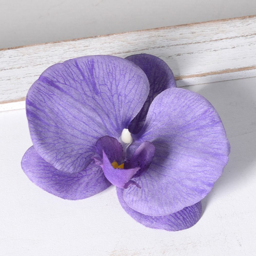 DIY Phalaenopsis Flower Head 1 - Orchid Phalaenopsis ulasan dan harga