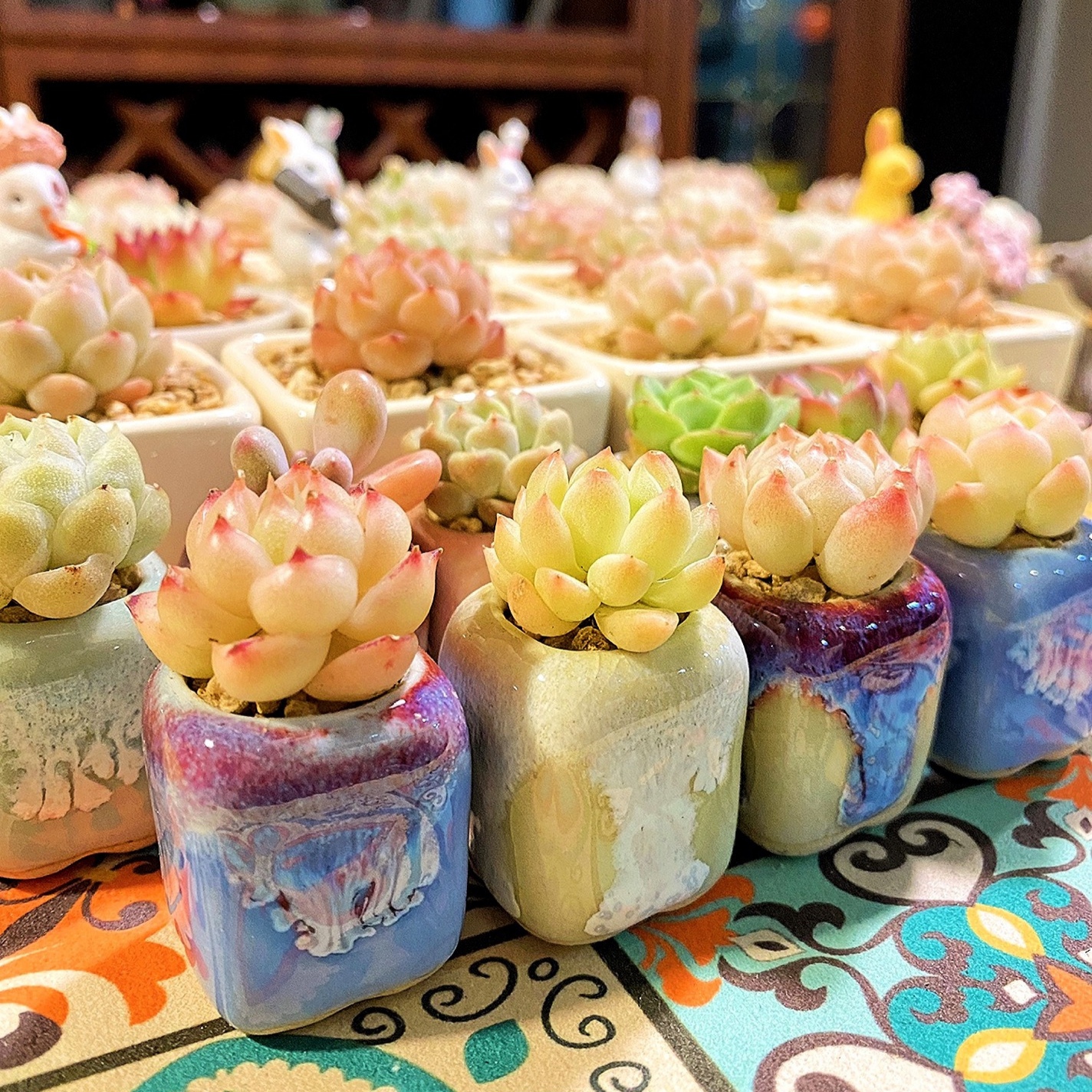 10Pcs Mini Ceramics Fowerpot M - Cactus Mix Pot ulasan dan harga