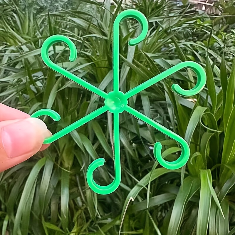 4pcs Climbing Plants Support C - Variegated Monstera Node ulasan dan harga