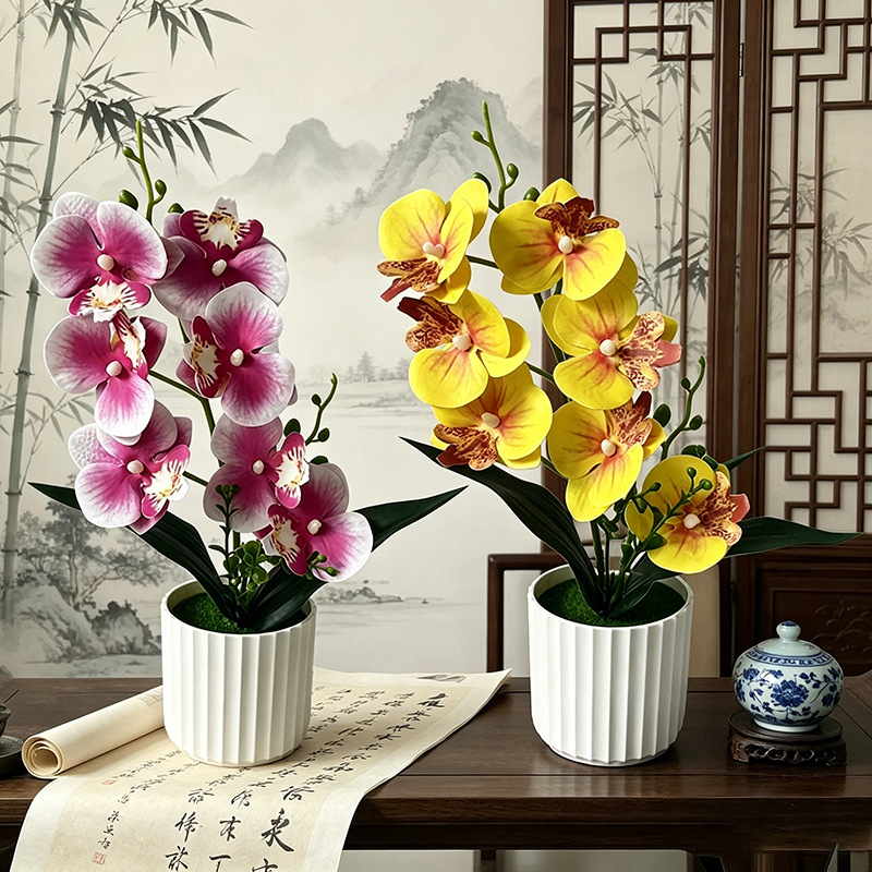 Butterfly Orchid 7-Flower Vert - Orchid Phalaenopsis ulasan dan harga