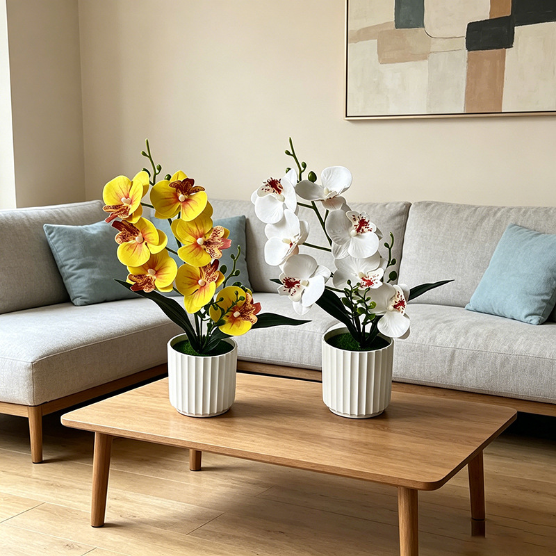 Butterfly Orchid 7-Flower Vert - Orchid Phalaenopsis ulasan dan harga