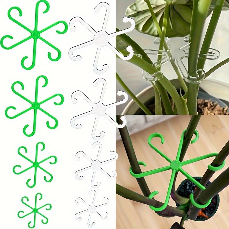 4Pcs Climbing Plants Support C - Variegated Monstera Node ulasan dan harga