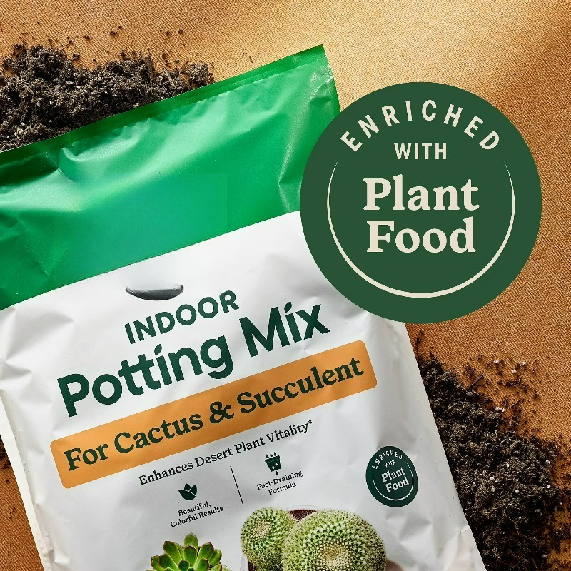 (2 pack)  Indoor Potting Mix f - Cactus Mix Pot ulasan dan harga