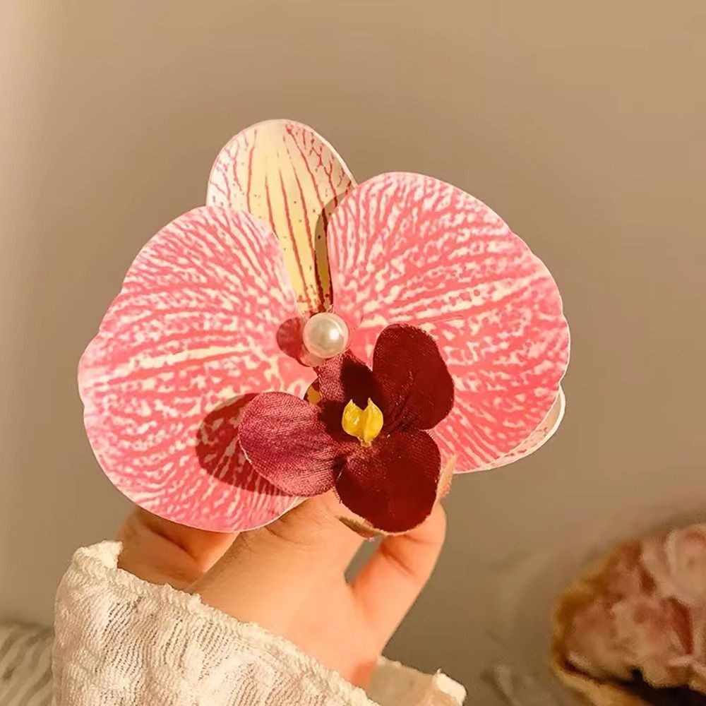 1Pcs Phalaenopsis Pearl Hair C - Orchid Phalaenopsis ulasan dan harga