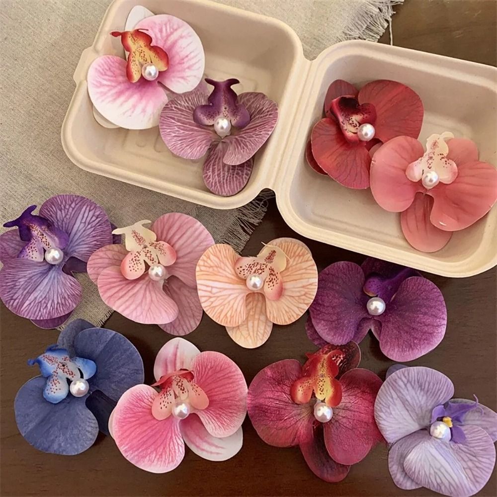 1Pcs Phalaenopsis Pearl Hair C - Orchid Phalaenopsis ulasan dan harga