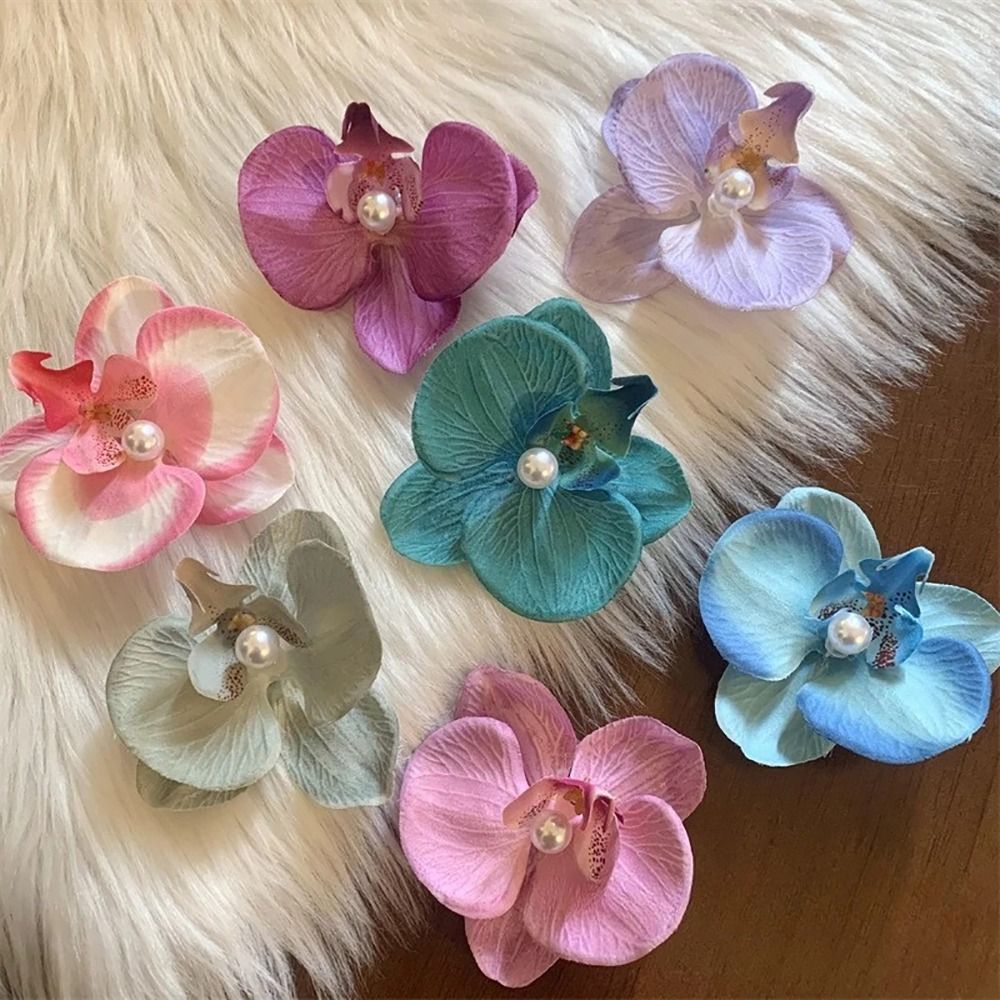 1Pcs Phalaenopsis Pearl Hair C - Orchid Phalaenopsis ulasan dan harga