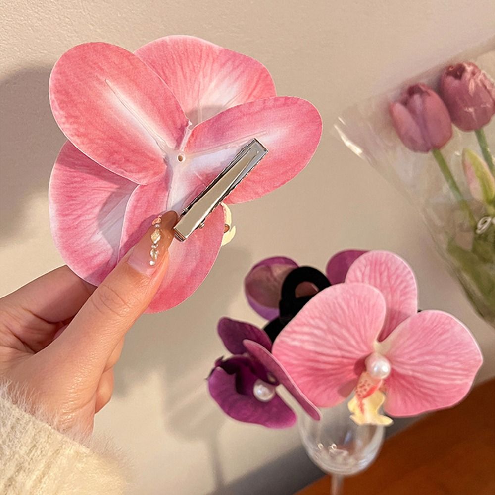 1Pcs Phalaenopsis Pearl Hair C - Orchid Phalaenopsis ulasan dan harga