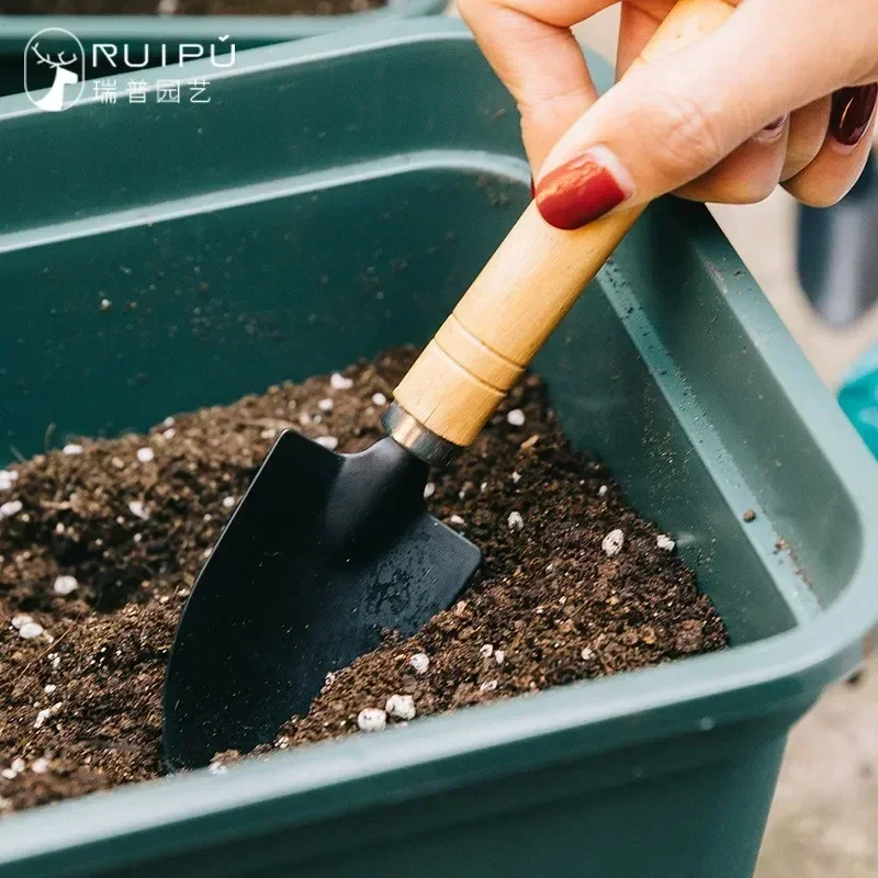 3Pcs/Set Mini Garden Tool Set  - Cactus Mix Pot ulasan dan harga