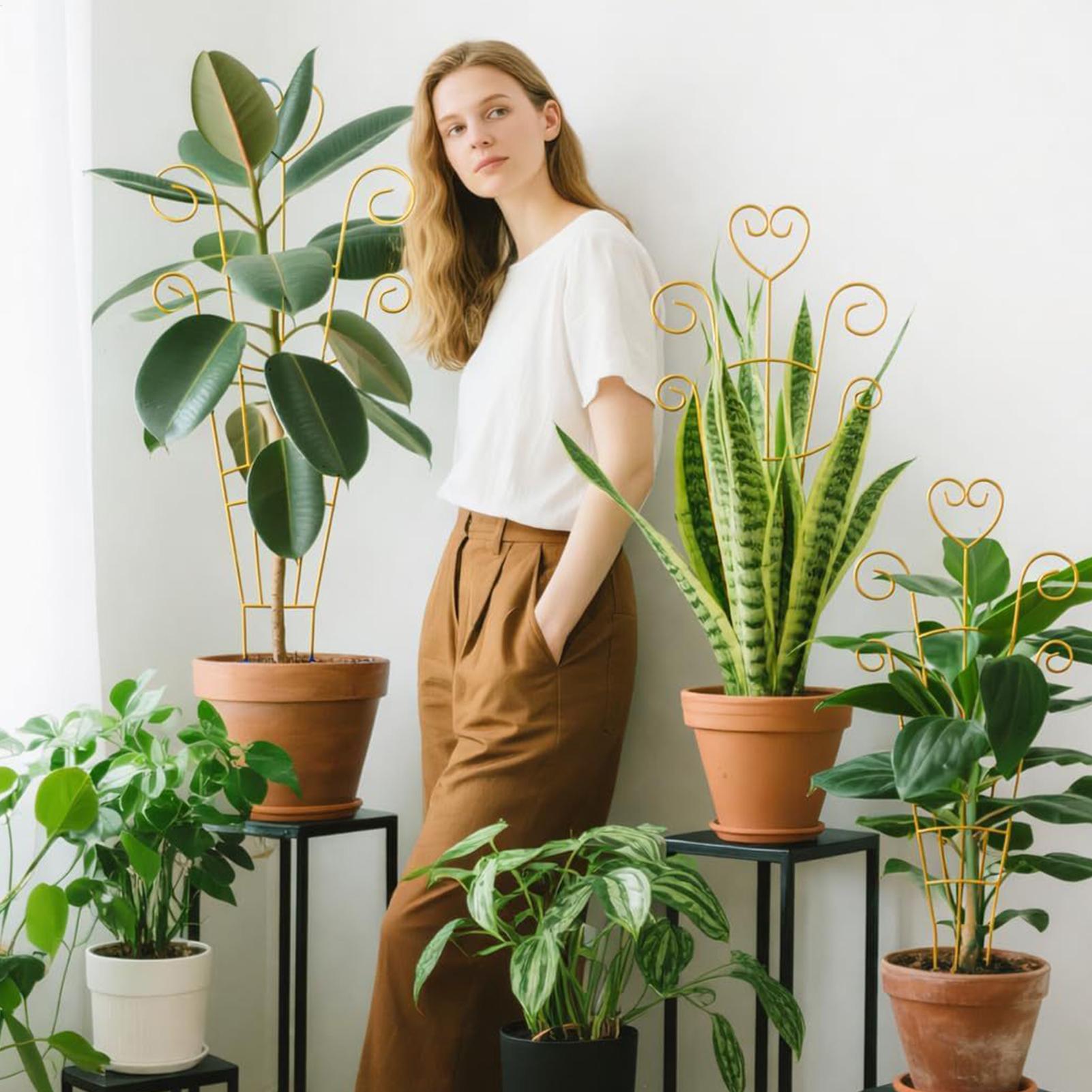 Climbing Plant Trellis Vine Su - Variegated Monstera Node ulasan dan harga