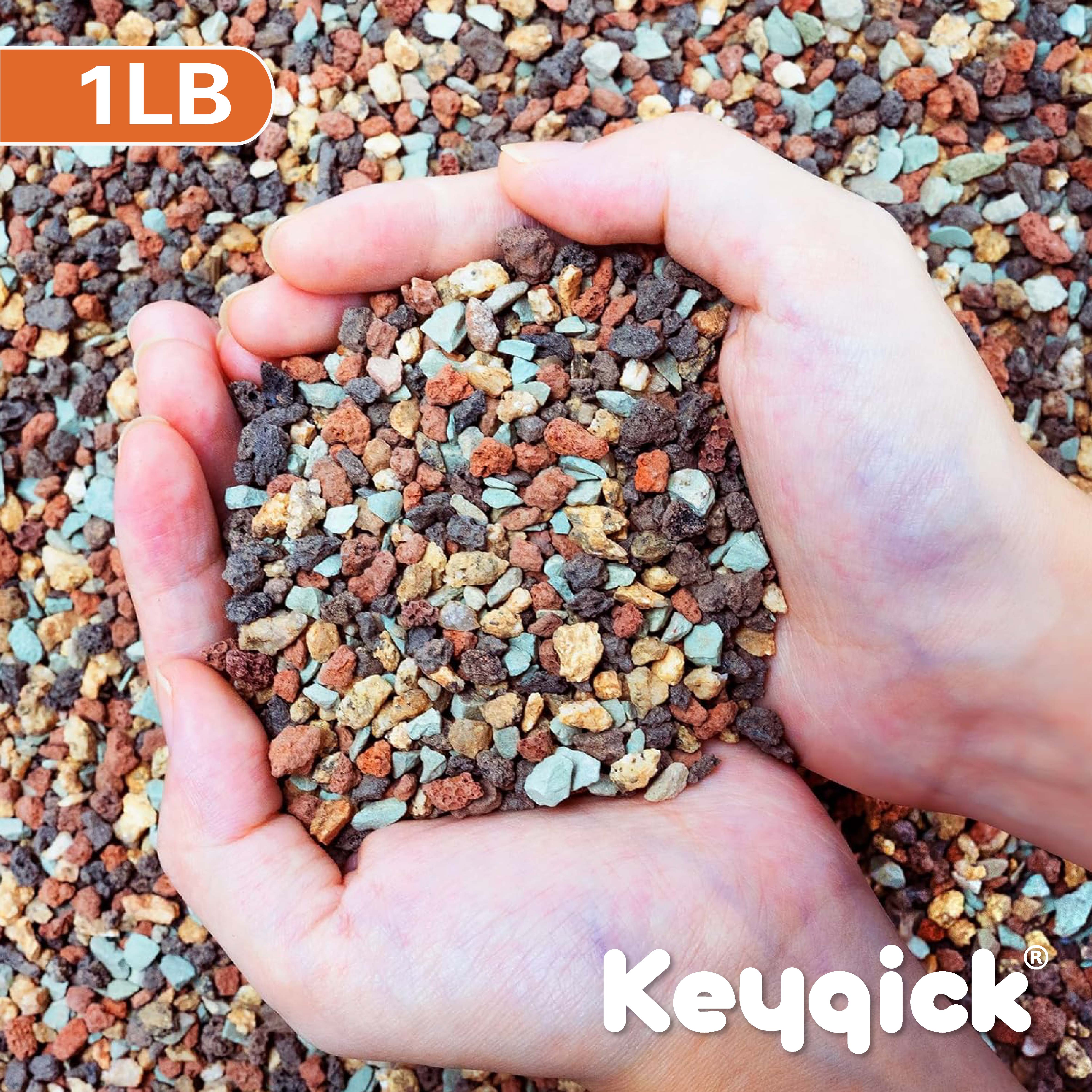 1lbs Natural Color Mixed Grave - Cactus Mix Pot ulasan dan harga