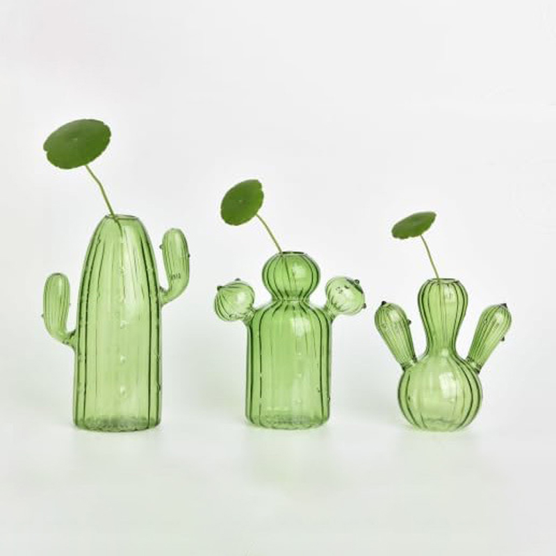 Colourful Glass Vase, Desktop  - Cactus Mix Pot ulasan dan harga