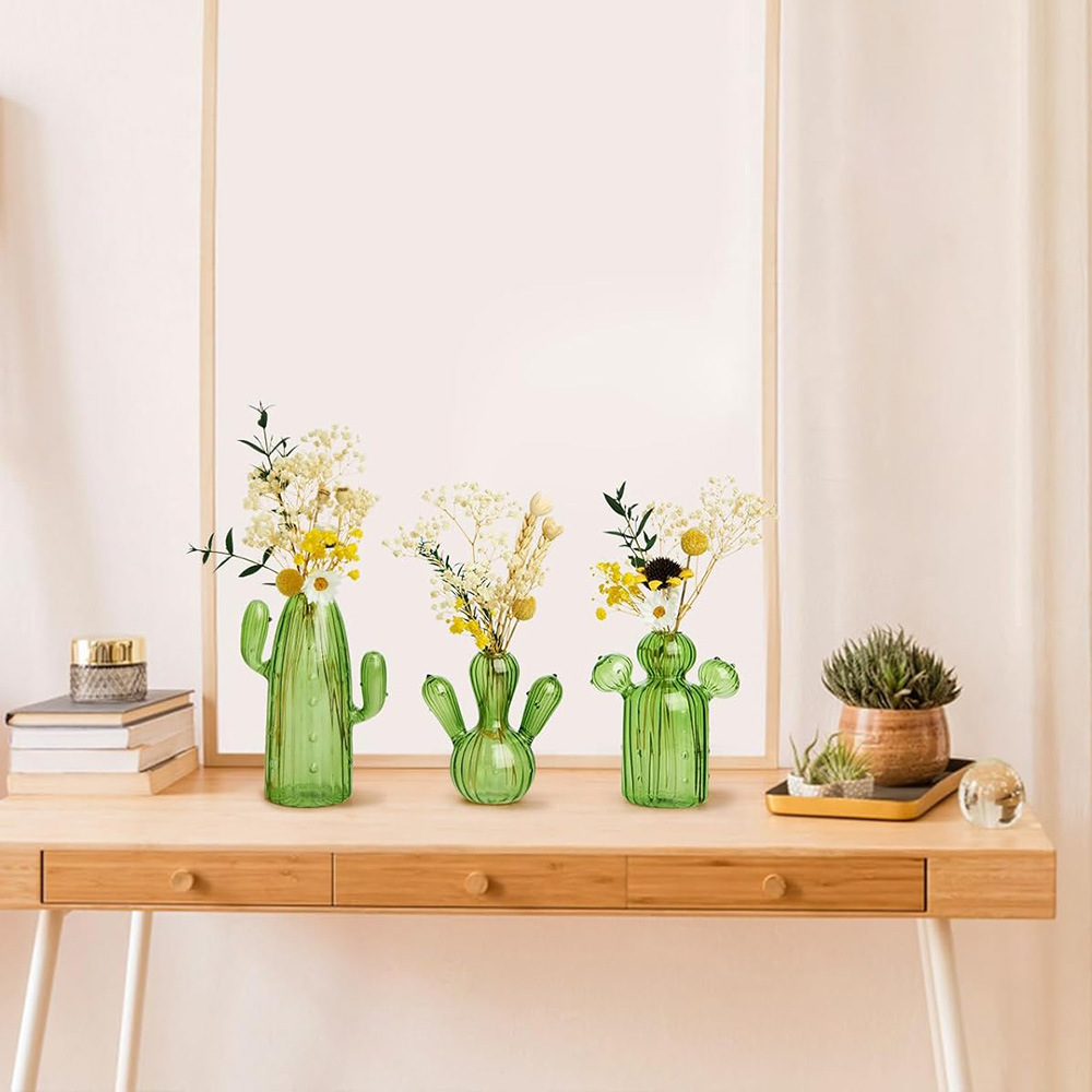 Colourful Glass Vase, Desktop  - Cactus Mix Pot ulasan dan harga